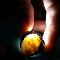 انگشترهای با ارزش