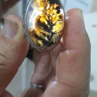 انگشتر شجر اصل درشت