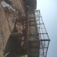 تریلی رومانی سالم بفروش میرست|خودرو سنگین|کشاورز, |دیوار