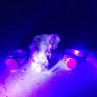 یاقوت سرخ آفریقایی اصل ومعدنی|جواهرات|رشت, منظریه|دیوار