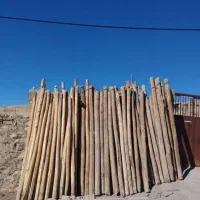 خرید چوب قطع وهرس انواع درختان با اره‌برقی|خدمات باغبانی و درختکاری|کرمانشاه, |دیوار