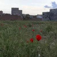قطعات مسکونی در کندرود