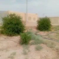 فروش یک قطعه زمین باغی با درخت با مجوز دیوار کشی|فروش دفتر صنعتی، کشاورزی، تجاری|شهرضا, |دیوار