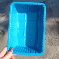 ظرف قارچ در اوزان مختلف