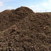 کود مرغی فله