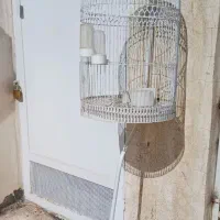 قفس پرنده|لوازم جانبی حیوانات|نیشابور, شهرک ولیعصر|دیوار