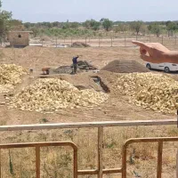 500 متر زمین باغی مدارک کامل فقط 120 ملیون|فروش دفتر صنعتی، کشاورزی، تجاری|کرج, حاجی آباد|دیوار