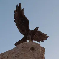 کاه کاه کاه گندم