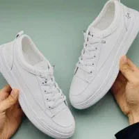 کفش اسپرت|کیف، کفش، کمربند|بندرعباس, |دیوار