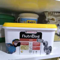 سرلاک مخصوص پرندگان زینتی|پرنده|تبریز, |دیوار