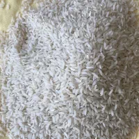 برنج طارم هاشمی کشت دوم اعلا