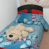 تخت