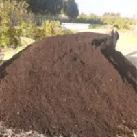 کود گوسفندی خالص پوسیده ۵ساله ریز وسوخته