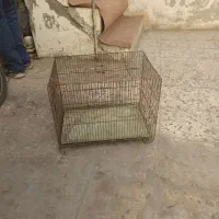 قفس پرنده سالم