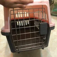 باکس و کوله گربه و سگ نژاد کوچک|لوازم جانبی حیوانات|رشت, لاکان شهر|دیوار