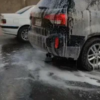 به دوتا کارگر کارواش نیاز دارم کار بلد باشن