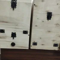 لونه،لانه طوطی پرنده