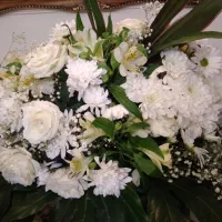 دوسبد گل طبیعی|گل و گیاه طبیعی|تبریز, |دیوار