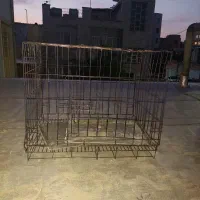 قفس سگ و گربه