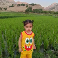 نظافتچی/پرستاری