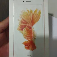 گوشی آیفون s6|موبایل|قرچک, پویینک|دیوار