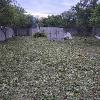 فروش زمین ۳۶۰ متر بافت زرد مسکونی|فروش زمین و ملک کلنگی|دالخانی, |دیوار