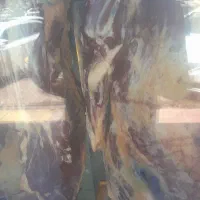 کوشت کوساله