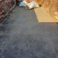 تریلیتراکتور|خودرو سنگین|باوی, |دیوار