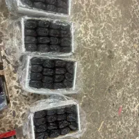 خرما/ خرمای مضافتی/خرمای زاهدی/ تناژ بالا|خوردنی و آشامیدنی|اصفهان, دانشگاه اصفهان|دیوار