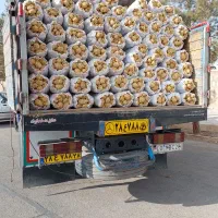 سیب زمینی تو زرد همدان