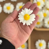 شمع گل|صنایع دستی و سایر لوازم تزئینی|قزوین, |دیوار
