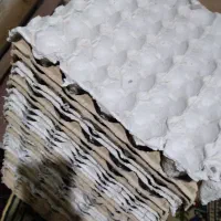۴۱عدد شانه تخم مرغ مناسب برای مرغداری ها