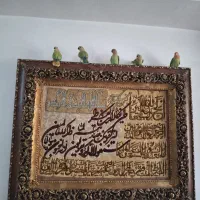طوطی برزیلی