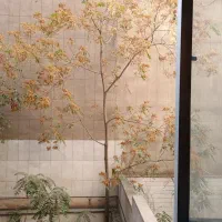 اجاره سالن جلسه و کلاس در مرکز شهر|اجارهٔ کوتاه‌مدت دفتر کار و فضای آموزشی|تهران, نجات اللهی|دیوار