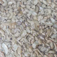 مغز گردو دندانه و بادام هندی ال پی|خوردنی و آشامیدنی|مشهد, ده دی|دیوار