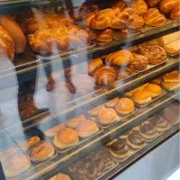 شاطر فانتزی نیازمندیم