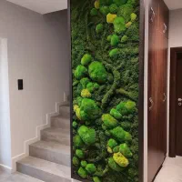 طراحی و اجرای ماس وال (دیوار سبز خزه‌ای)|گل و گیاه طبیعی|تهران, جماران (نیاوران)|دیوار