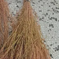 جارو|لوازم نظافت|خرمآباد, |دیوار