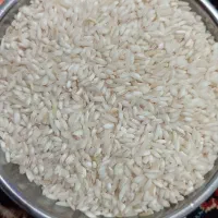 برنج درشت با  قلوه هاشمی امساله