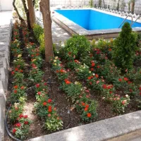 خدمات باغبانی باغچه کاری گل کاری تعویضی خاک گلدان|خدمات باغبانی و درختکاری|تهران, سهروردی|دیوار