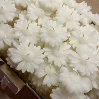 شمع گیفت بابونه (۴۰عددی)|صنایع دستی و سایر لوازم تزئینی|تهران, سلسبیل جنوبی|دیوار