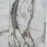 پورتره طبیعی