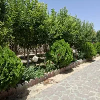 باغ-و-ویلا-در-شاهنامه-76