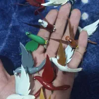 کبوتر|پرنده|مشهد, ایثار|دیوار