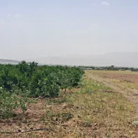 فروش-زمین-کشاورزی-6-هکتار