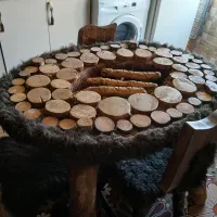 میزناهارخوری جنگلی