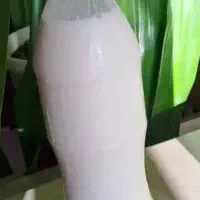 دوغ و کره محلی|خوردنی و آشامیدنی|لاهیجان, لیالستان|دیوار