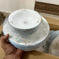 سرویس چینی ایتالیا زرین|ظروف سرو و پذیرایی|مینودشت, |دیوار