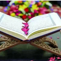 دنبال شماره ی یه دعا نویس تضمینی میگردم