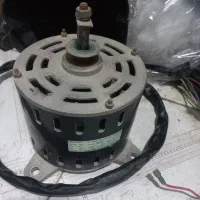 parwaneh ورزش|تجهیزات ورزشی|شادگان, |دیوار